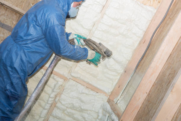 Professional Insulation in Plainview, TX